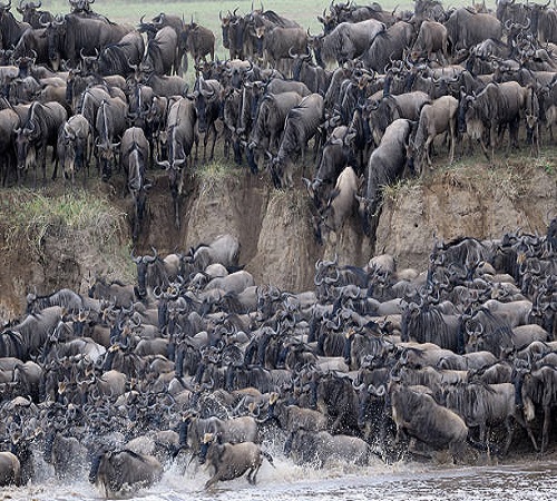 Serengeti big migration 6 days safari