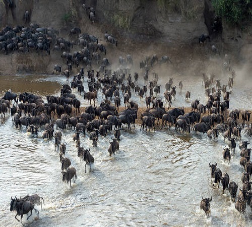 5 days Serengeti wildebeest migration Tanzania safari