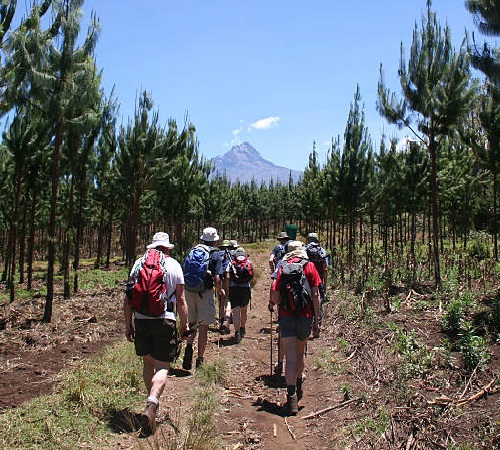 Kilimanjaro hiking Machame route group tour