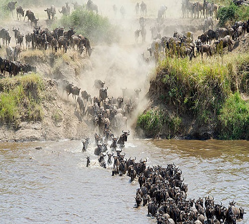 5 days Serengeti migration trip